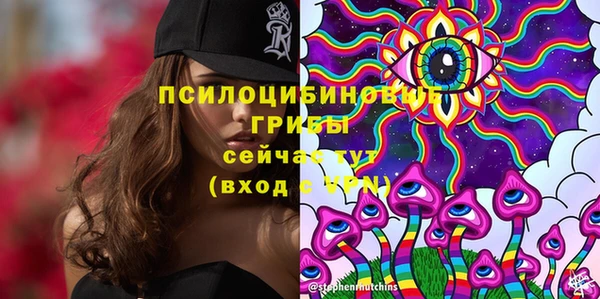 прущая мука Алексин