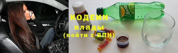прущий лед Алзамай