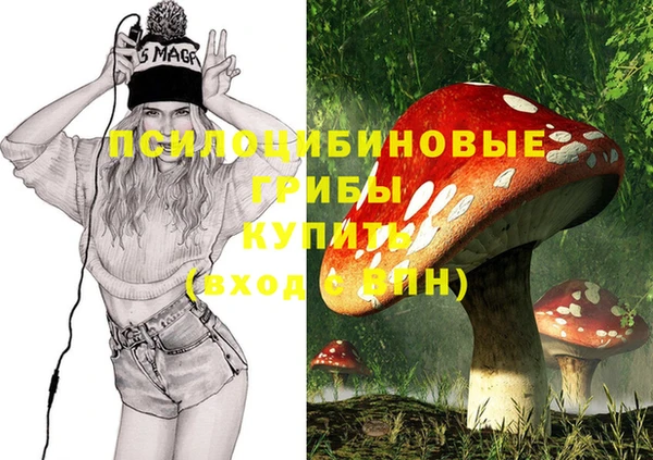 прущая мука Алексин