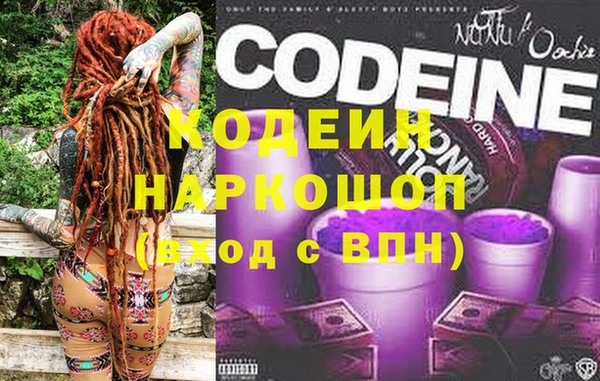 прущий лед Алзамай
