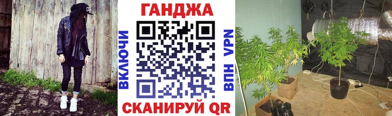 Каннабис семена  Енисейск 